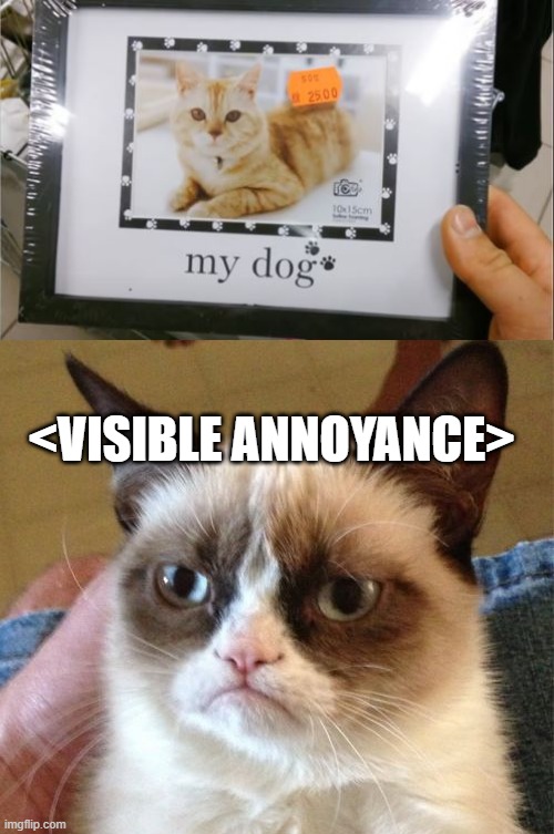 Meeeeruff | <VISIBLE ANNOYANCE> | image tagged in memes,grumpy cat | made w/ Imgflip meme maker
