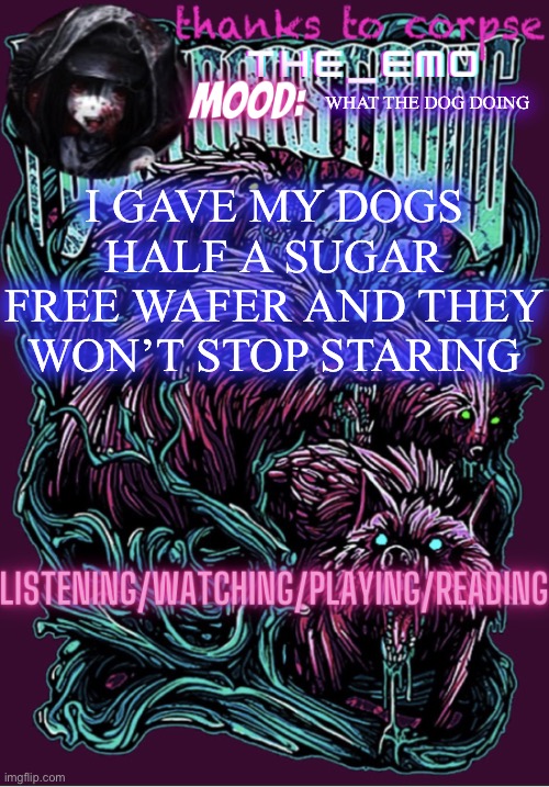 The razor blade ninja | WHAT THE DOG DOING; I GAVE MY DOGS HALF A SUGAR FREE WAFER AND THEY WON’T STOP STARING | image tagged in the razor blade ninja | made w/ Imgflip meme maker