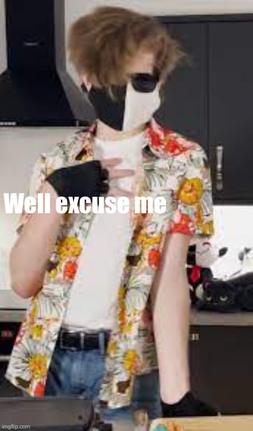 Ues | Well excuse me | image tagged in ranboo | made w/ Imgflip meme maker