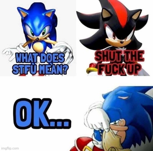 this is so sad can we hit 10 likes just for Sonic | made w/ Imgflip meme maker