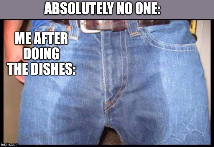 ABSOLUTELY NO ONE:; ME AFTER DOING THE DISHES: | image tagged in funny memes | made w/ Imgflip meme maker