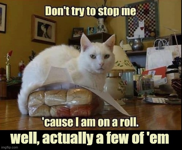 "Um... soft! And let's face it: I don't hafta eat 'em." |  well, actually a few of 'em | image tagged in vince vance,cats,bread rolls,funny cat memes,meow,i love cats | made w/ Imgflip meme maker