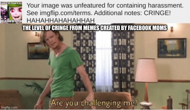 THE LEVEL OF CRINGE FROM MEMES CREATED BY FACEBOOK MOMS | image tagged in are you challenging me,memes | made w/ Imgflip meme maker