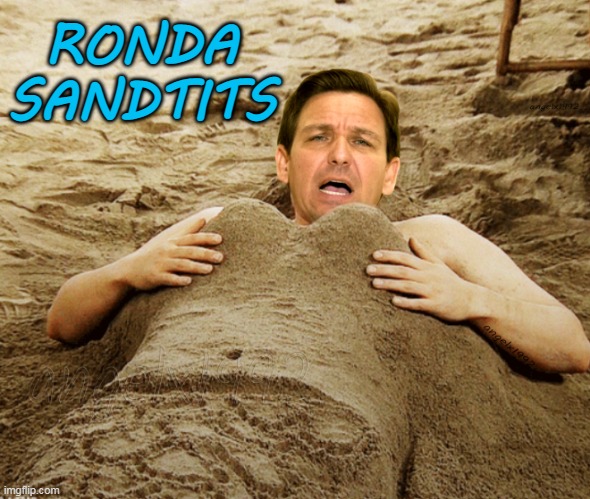 ronda sandtits | RONDA
SANDTITS | image tagged in ronda sandtits,ron desantis,clown car republicans,beach,tits,scumbag republicans | made w/ Imgflip meme maker