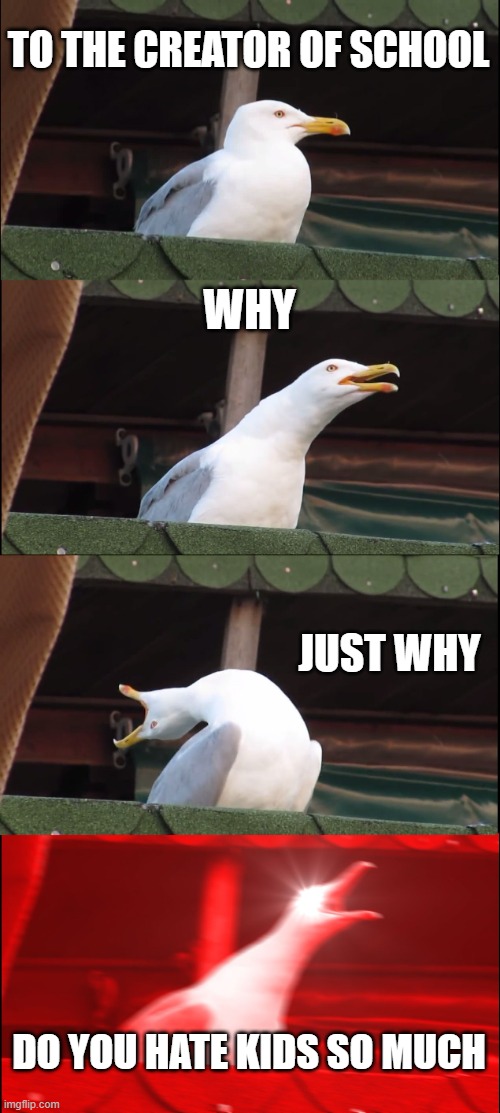 He must've despised kids. | TO THE CREATOR OF SCHOOL; WHY; JUST WHY; DO YOU HATE KIDS SO MUCH | image tagged in memes,inhaling seagull | made w/ Imgflip meme maker