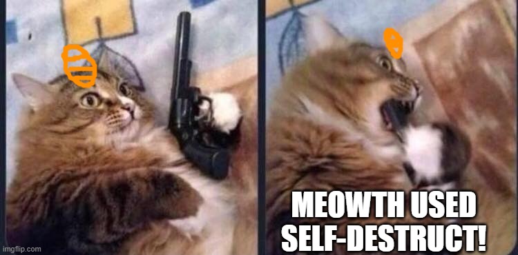 Suicide cat | MEOWTH USED SELF-DESTRUCT! | image tagged in suicide cat | made w/ Imgflip meme maker