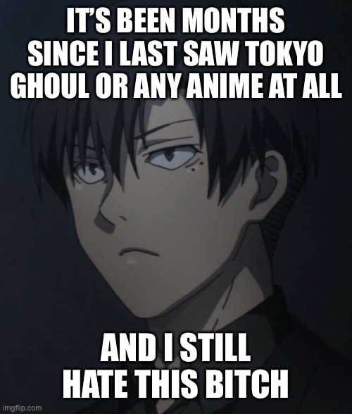 IT’S BEEN MONTHS SINCE I LAST SAW TOKYO GHOUL OR ANY ANIME AT ALL; AND I STILL HATE THIS BITCH | made w/ Imgflip meme maker