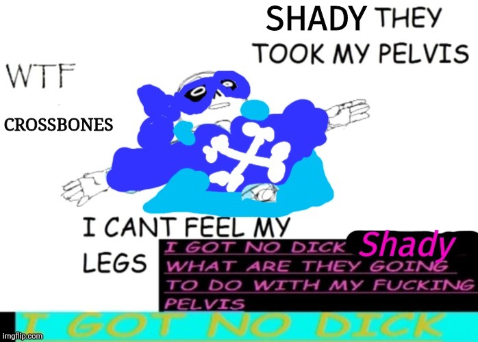 Shady they took my pelvis | image tagged in shady they took my pelvis | made w/ Imgflip meme maker