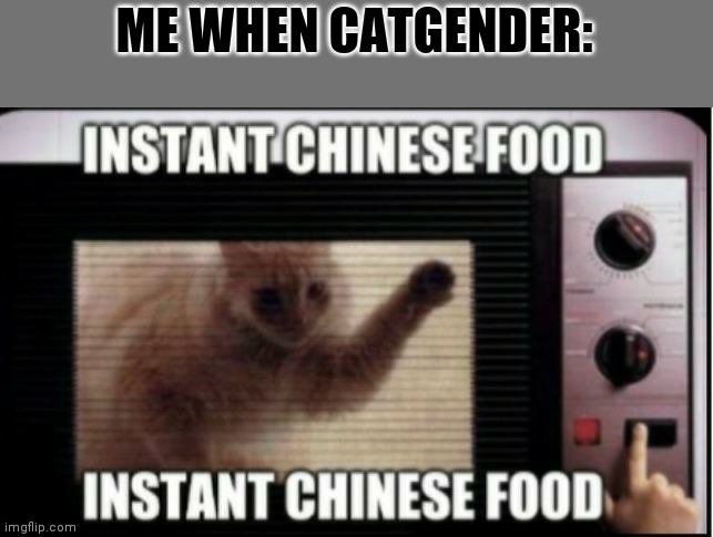 ME WHEN CATGENDER: | image tagged in instant chinese food | made w/ Imgflip meme maker