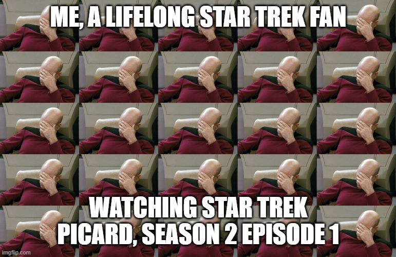 Picard Facepalm | ME, A LIFELONG STAR TREK FAN; WATCHING STAR TREK PICARD, SEASON 2 EPISODE 1 | image tagged in captain picard facepalm | made w/ Imgflip meme maker