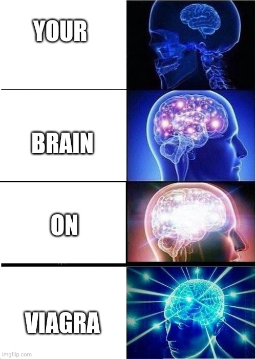 Expanding Brain | YOUR; BRAIN; ON; VIAGRA | image tagged in memes,expanding brain | made w/ Imgflip meme maker