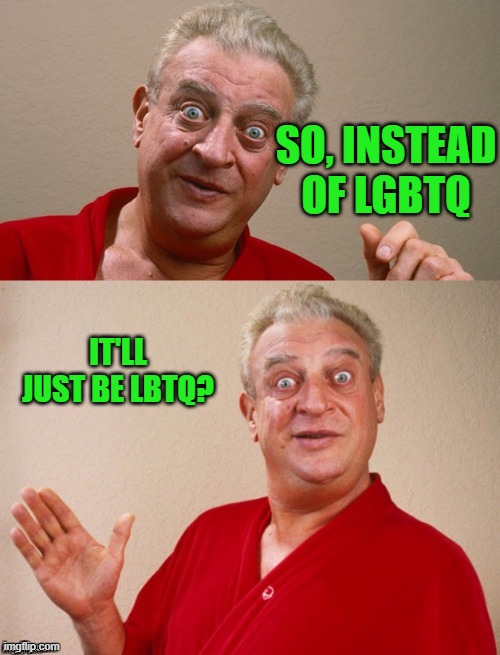 Classic Rodney | SO, INSTEAD OF LGBTQ IT'LL JUST BE LBTQ? | image tagged in classic rodney | made w/ Imgflip meme maker