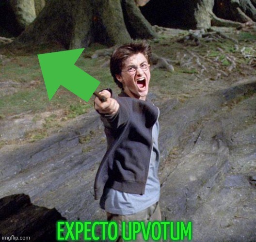 Expecto Upvotum | image tagged in expecto upvotum | made w/ Imgflip meme maker