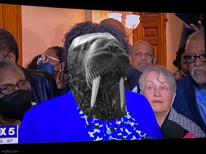 Stacey Abrams The Black Walrus | image tagged in memes,stacey abrams,black,walrus,fat,georgia | made w/ Imgflip meme maker