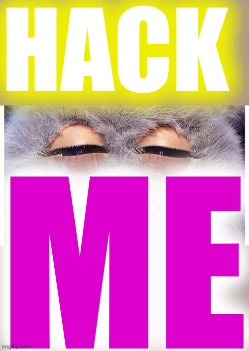 Grade me Teacher | HACK ME | image tagged in grade me teacher | made w/ Imgflip meme maker