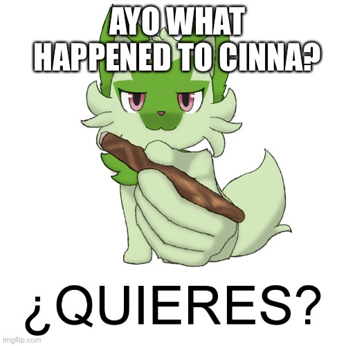 What’s going on? | AYO WHAT HAPPENED TO CINNA? | made w/ Imgflip meme maker