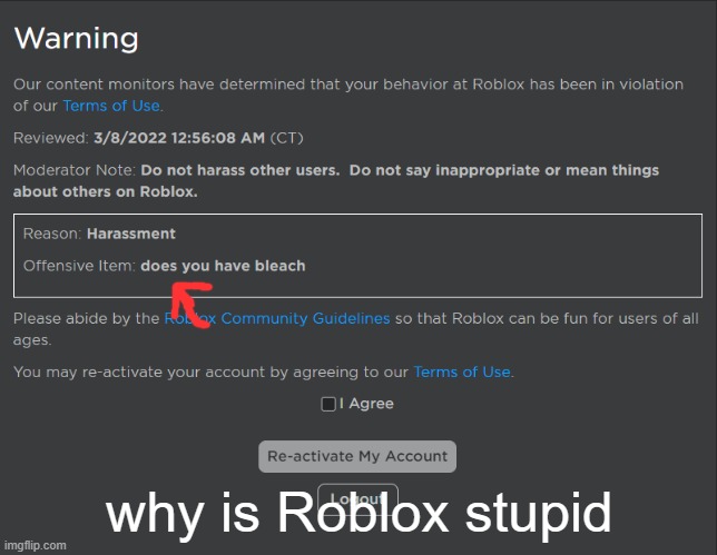 Roblox being an idiot |  why is Roblox stupid | image tagged in funny,unfunny,seriously wtf | made w/ Imgflip meme maker