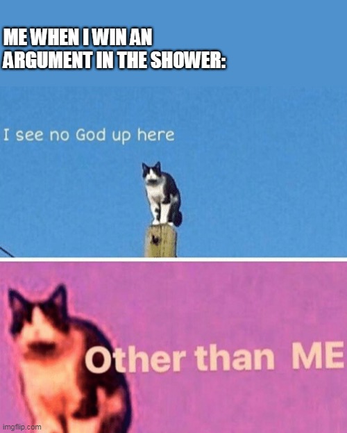 Winning an argument in the shower | ME WHEN I WIN AN ARGUMENT IN THE SHOWER: | image tagged in hail pole cat | made w/ Imgflip meme maker