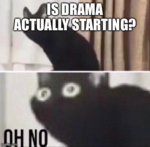 no- | IS DRAMA ACTUALLY STARTING? | image tagged in oh no cat | made w/ Imgflip meme maker