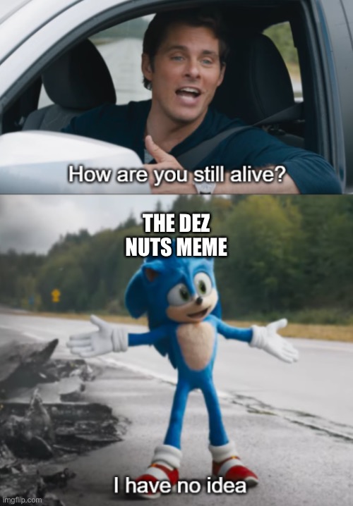 Sonic : How are you still alive | THE DEZ NUTS MEME | image tagged in sonic how are you still alive | made w/ Imgflip meme maker