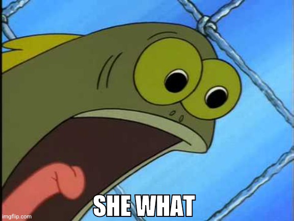 You what?! | SHE WHAT | image tagged in you what | made w/ Imgflip meme maker