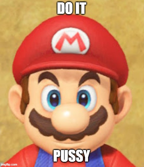 Mario's Stare | DO IT PUSSY | image tagged in mario's stare | made w/ Imgflip meme maker