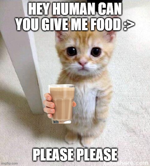 give me food please :> | HEY HUMAN CAN YOU GIVE ME FOOD :>; PLEASE PLEASE | image tagged in memes,cute cat | made w/ Imgflip meme maker