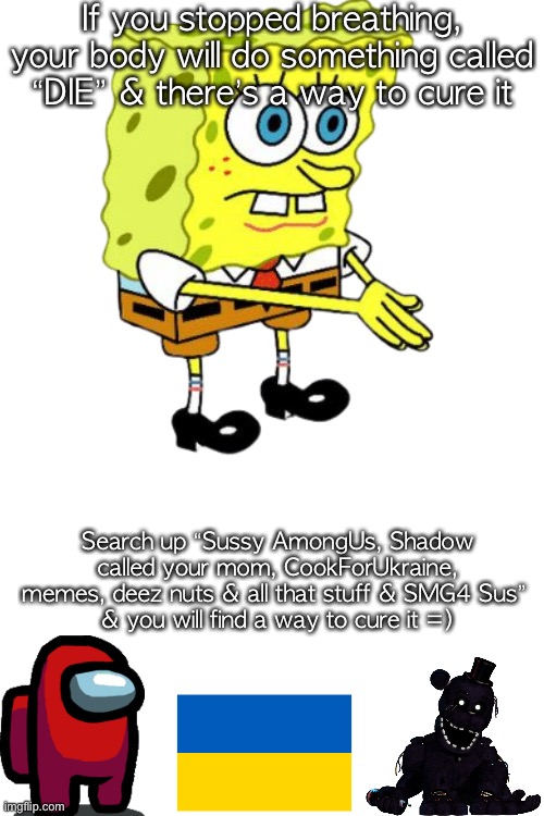 If you stopped breathing, your body will do something called “DIE” & there’s a way to cure it; Search up “Sussy AmongUs, Shadow called your mom, CookForUkraine, memes, deez nuts & all that stuff & SMG4 Sus” 
& you will find a way to cure it =) | image tagged in blank white template | made w/ Imgflip meme maker