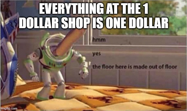 hmm yes the floor here is made out of floor | EVERYTHING AT THE 1 DOLLAR SHOP IS ONE DOLLAR | image tagged in hmm yes the floor here is made out of floor | made w/ Imgflip meme maker