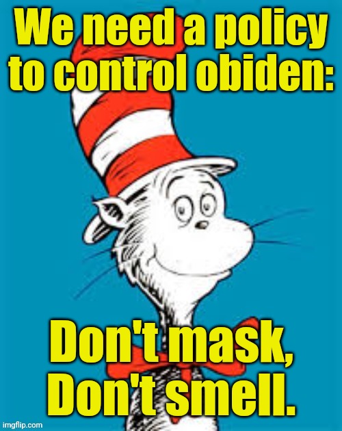 obiden - Shat in the Hat | We need a policy to control obiden: Don't mask, Don't smell. | image tagged in obiden - shat in the hat | made w/ Imgflip meme maker