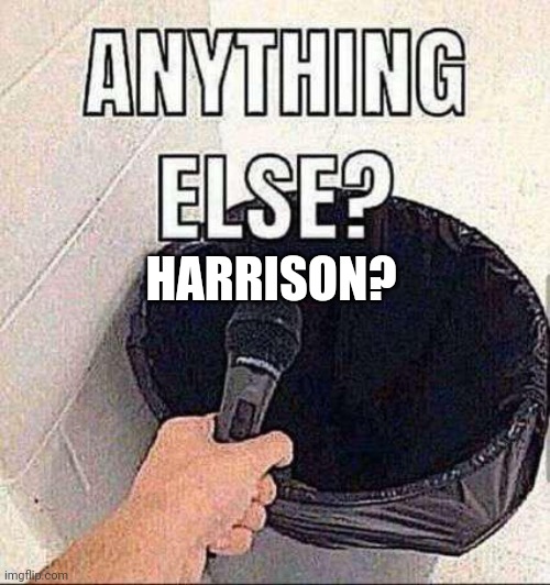 Anything else? | HARRISON? | image tagged in anything else | made w/ Imgflip meme maker