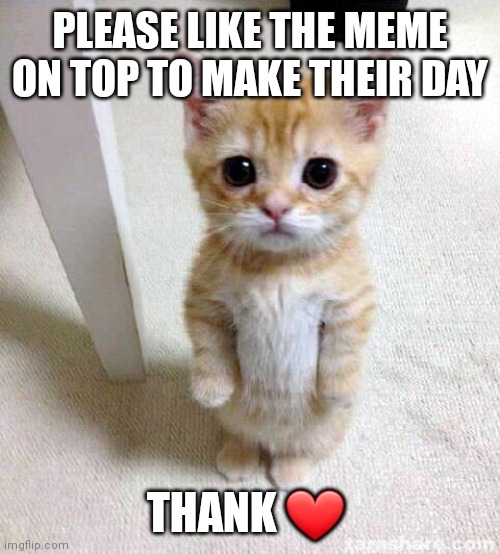 Cute Cat Meme | PLEASE LIKE THE MEME ON TOP TO MAKE THEIR DAY; THANK ❤ | image tagged in memes,cute cat | made w/ Imgflip meme maker