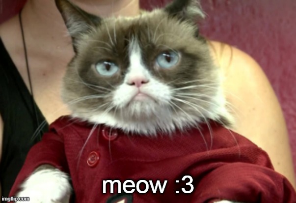 idk anymore | meow :3 | image tagged in grumpy cat in red clothes | made w/ Imgflip meme maker