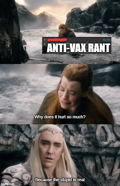 Full of themselves. Full of b******t | ANTI-VAX RANT | image tagged in memes,the hobbit,because it was real,anti vax,tauriel why does it hurt so much | made w/ Imgflip meme maker
