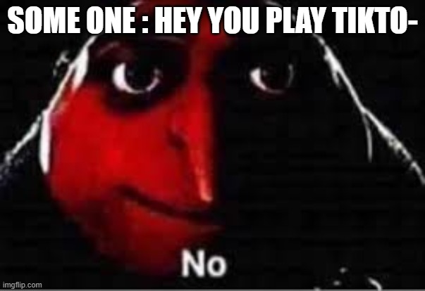 no | SOME ONE : HEY YOU PLAY TIKTO- | image tagged in oof,no | made w/ Imgflip meme maker