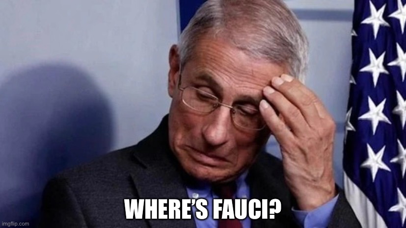 Fauci, what’s happened? | WHERE’S FAUCI? | image tagged in fauci,dr fauci,democrat party,china virus,liar,elite dangerous | made w/ Imgflip meme maker