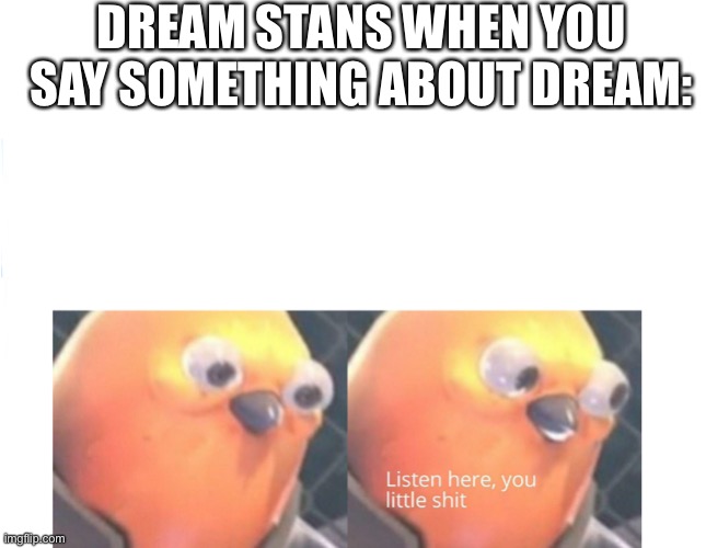 the dream community isnt that bad tho, its just then stans | DREAM STANS WHEN YOU SAY SOMETHING ABOUT DREAM: | image tagged in listen here you little shit | made w/ Imgflip meme maker