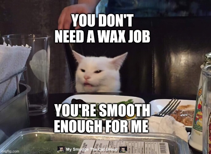 YOU DON'T NEED A WAX JOB; YOU'RE SMOOTH ENOUGH FOR ME | image tagged in smudge the cat | made w/ Imgflip meme maker