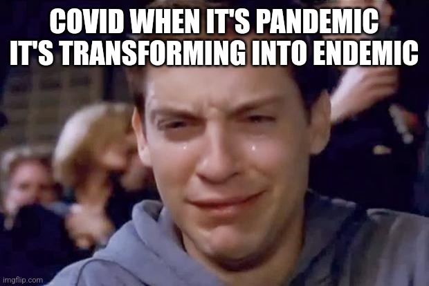 Tobey Maguire crying | COVID WHEN IT'S PANDEMIC IT'S TRANSFORMING INTO ENDEMIC | image tagged in tobey maguire crying | made w/ Imgflip meme maker