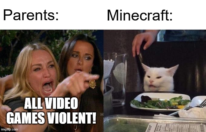 The truth | Parents:; Minecraft:; ALL VIDEO GAMES VIOLENT! | image tagged in memes,woman yelling at cat | made w/ Imgflip meme maker