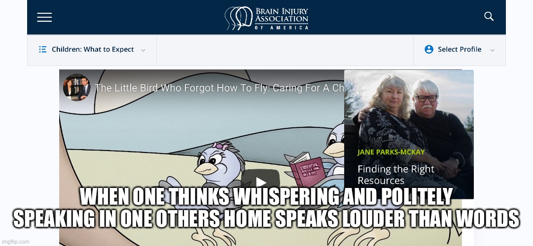 https://www.biausa.org/ | WHEN ONE THINKS WHISPERING AND POLITELY SPEAKING IN ONE OTHERS HOME SPEAKS LOUDER THAN WORDS | image tagged in brain,damage,injury | made w/ Imgflip meme maker