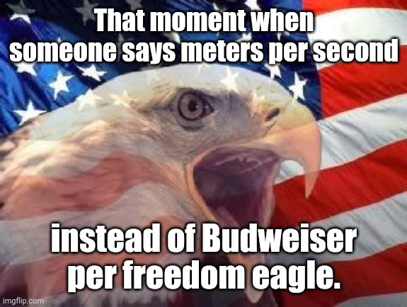 Patriotic Eagle | That moment when someone says meters per second instead of Budweiser per freedom eagle. | image tagged in patriotic eagle | made w/ Imgflip meme maker