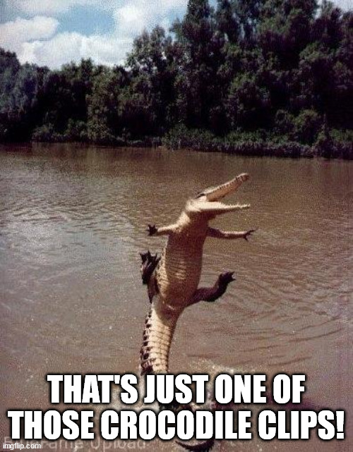 Happy Crocodile | THAT'S JUST ONE OF THOSE CROCODILE CLIPS! | image tagged in happy crocodile | made w/ Imgflip meme maker