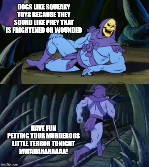 Mammals are just funked up. | DOGS LIKE SQUEAKY TOYS BECAUSE THEY SOUND LIKE PREY THAT IS FRIGHTENED OR WOUNDED; HAVE FUN PETTING YOUR MURDEROUS LITTLE TERROR TONIGHT
MWAHAHAHAAAA! | image tagged in skeletor disturbing facts,memes,squeaky toy,murder,prey,dogs | made w/ Imgflip meme maker
