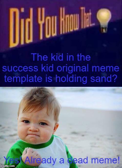 Less popular meme templates typically last longer, by the way | The kid in the success kid original meme template is holding sand? Yes! Already a dead meme! | image tagged in did you know that,success kid,not a cool bug fact,cool bug facts,stop reading the tags,did you know | made w/ Imgflip meme maker