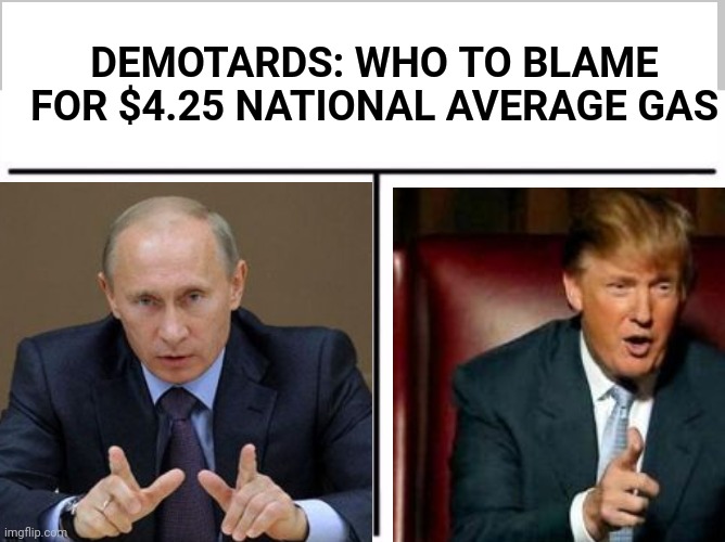 DEMOTARDS: WHO TO BLAME FOR $4.25 NATIONAL AVERAGE GAS | image tagged in memes,who would win | made w/ Imgflip meme maker