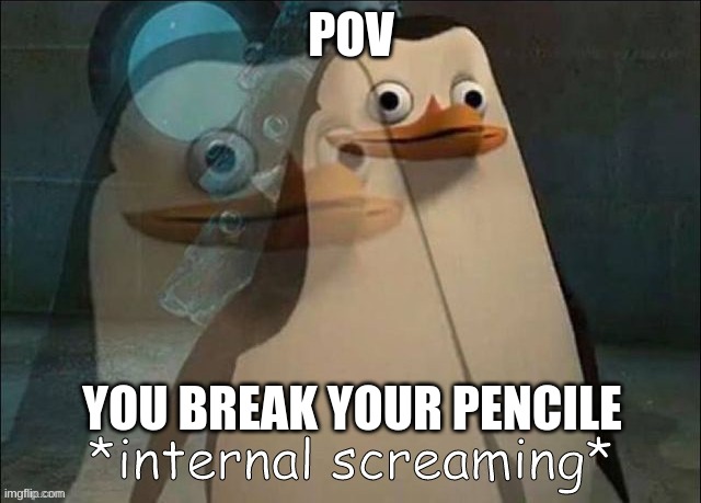 random memes: day 2 | POV; YOU BREAK YOUR PENCILE | image tagged in private internal screaming | made w/ Imgflip meme maker