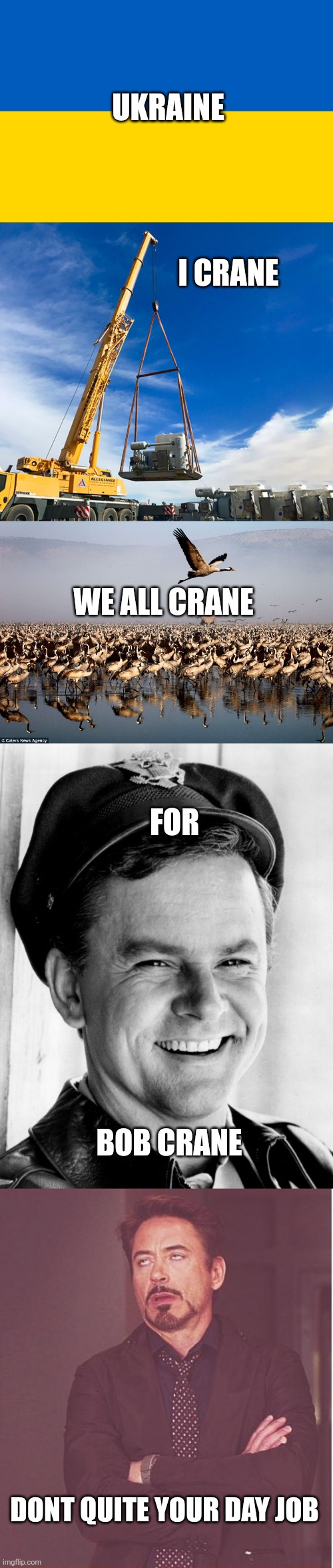 Don't Crane Your Neck To See This Meme | UKRAINE; I CRANE; WE ALL CRANE; FOR; BOB CRANE; DONT QUITE YOUR DAY JOB | image tagged in memes,face you make robert downey jr | made w/ Imgflip meme maker