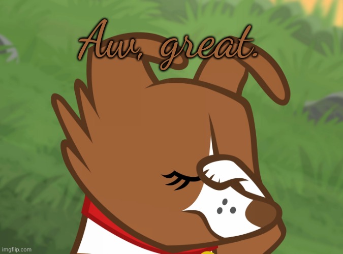 Winona Facepaw (MLP) | Aw, great. | image tagged in winona facepaw mlp | made w/ Imgflip meme maker