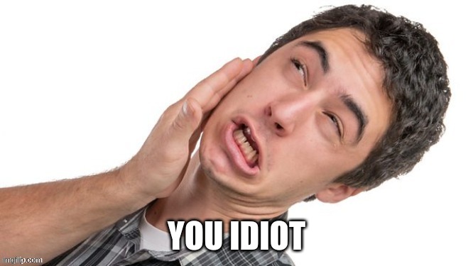 slap in the face | YOU IDIOT | image tagged in slap in the face | made w/ Imgflip meme maker